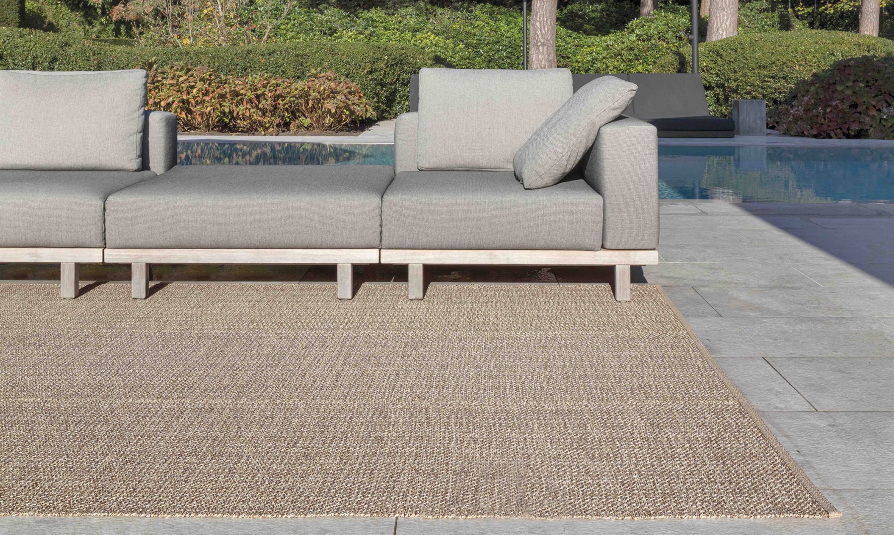 Van Haneghem Limited Edition 2